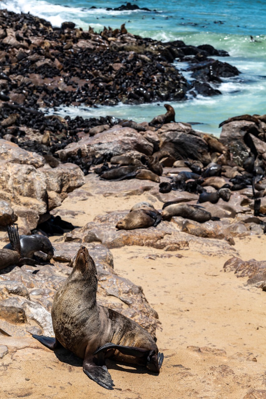 Turismo: Transafrica